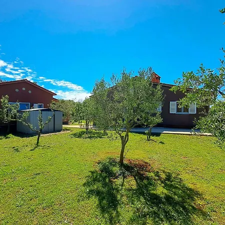 Pet Friendly In With Kitchen *