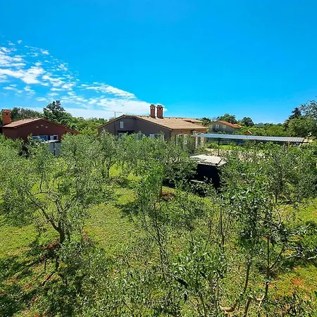 Pet Friendly In With Kitchen * Pula