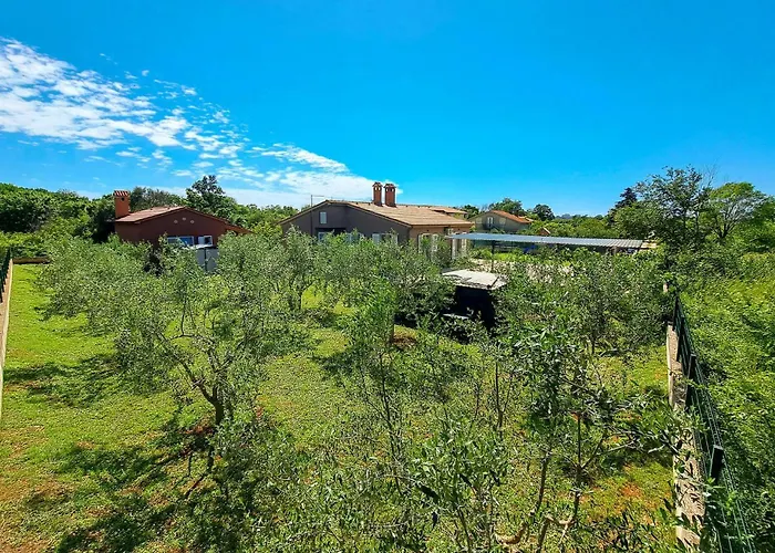 Pet Friendly In With Kitchen * Pula